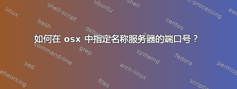 如何在 osx 中指定名称服务器的端口号？