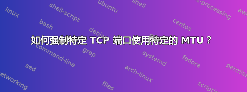 如何强制特定 TCP 端口使用特定的 MTU？