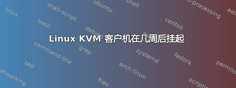 Linux KVM 客户机在几周后挂起