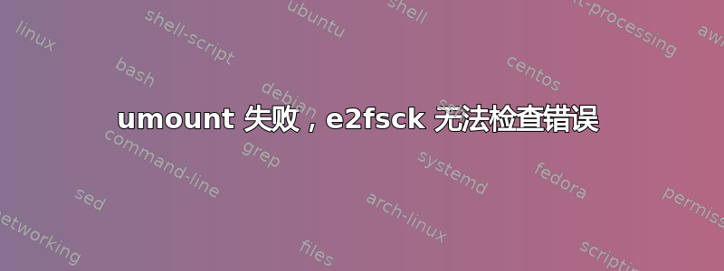 umount 失败，e2fsck 无法检查错误