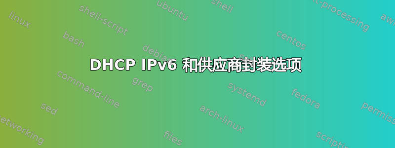 DHCP IPv6 和供应商封装选项