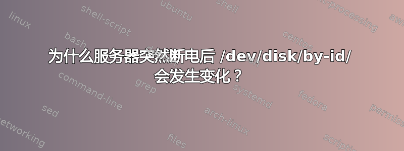 为什么服务器突然断电后 /dev/disk/by-id/ 会发生变化？