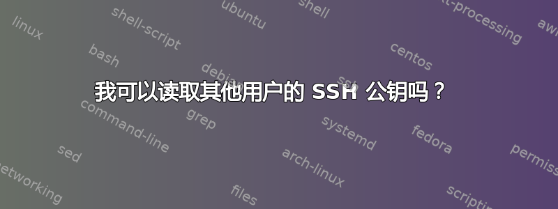 我可以读取其他用户的 SSH 公钥吗？ 