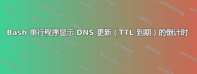 Bash 单行程序显示 DNS 更新（TTL 到期）的倒计时