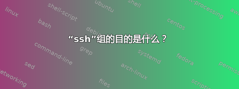 “ssh”组的目的是什么？