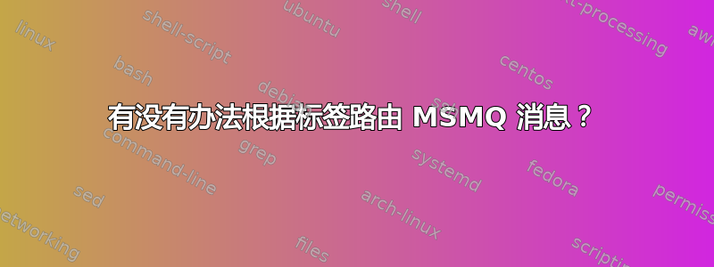 有没有办法根据标签路由 MSMQ 消息？