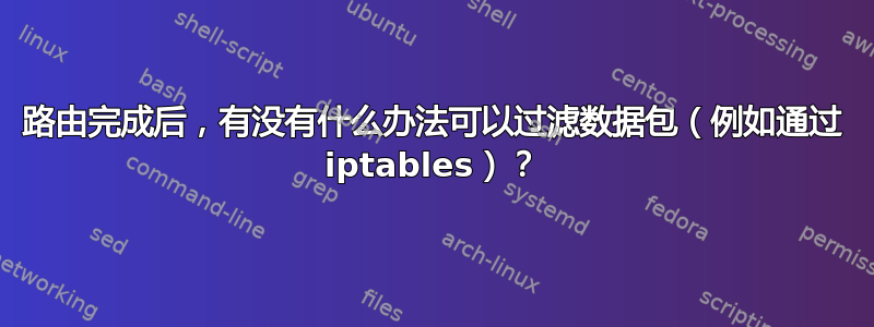 路由完成后，有没有什么办法可以过滤数据包（例如通过 iptables）？