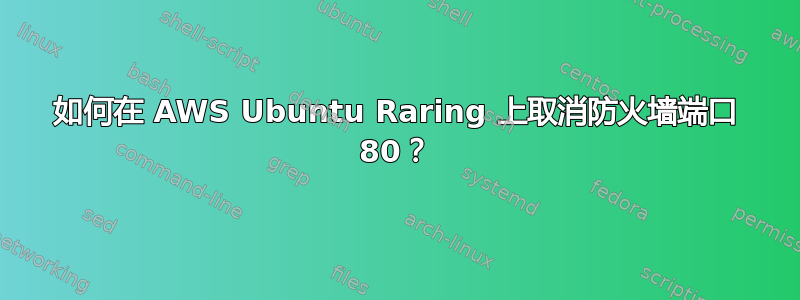 如何在 AWS Ubuntu Raring 上取消防火墙端口 80？