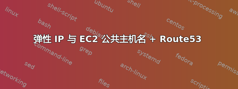 弹性 IP 与 EC2 公共主机名 + Route53