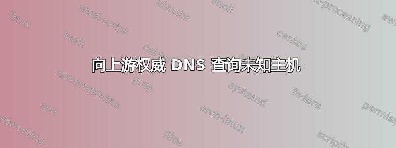 向上游权威 DNS 查询未知主机