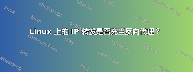 Linux 上的 IP 转发是否充当反向代理？