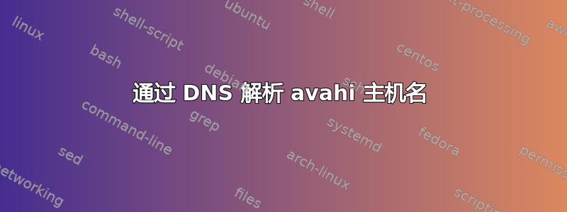 通过 DNS 解析 avahi 主机名