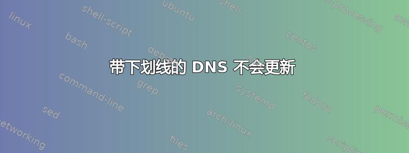 带下划线的 DNS 不会更新