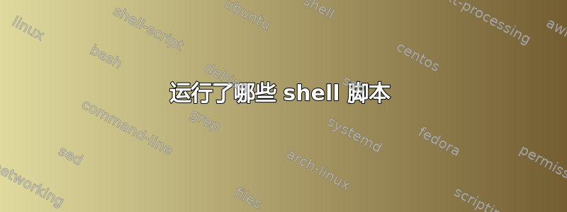 运行了哪些 shell 脚本