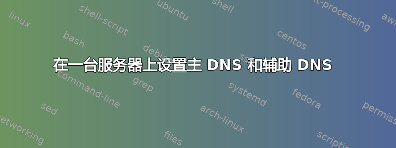 在一台服务器上设置主 DNS 和辅助 DNS 