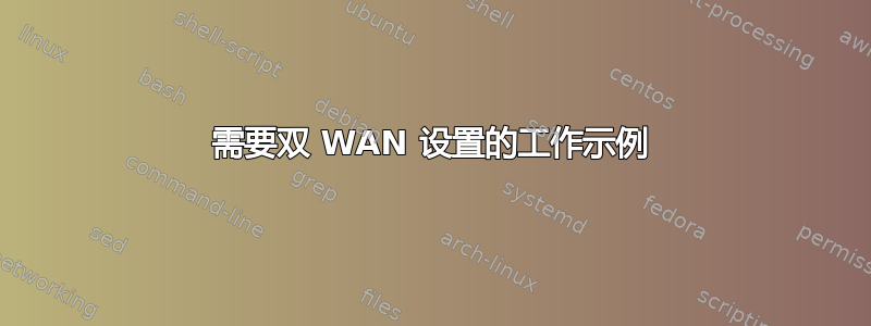 需要双 WAN 设置的工作示例