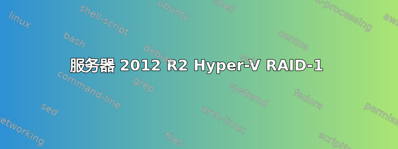 服务器 2012 R2 Hyper-V RAID-1