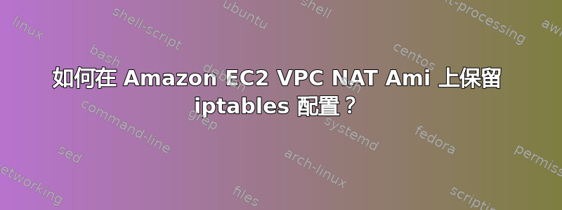 如何在 Amazon EC2 VPC NAT Ami 上保留 iptables 配置？