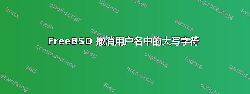 FreeBSD 撤消用户名中的大写字符