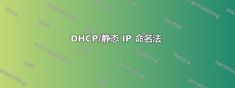 DHCP/静态 IP 命名法