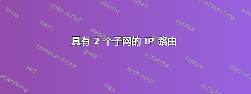 具有 2 个子网的 IP 路由