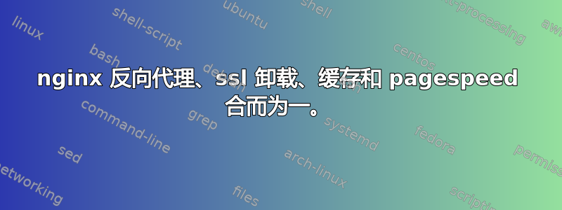 nginx 反向代理、ssl 卸载、缓存和 pagespeed 合而为一。
