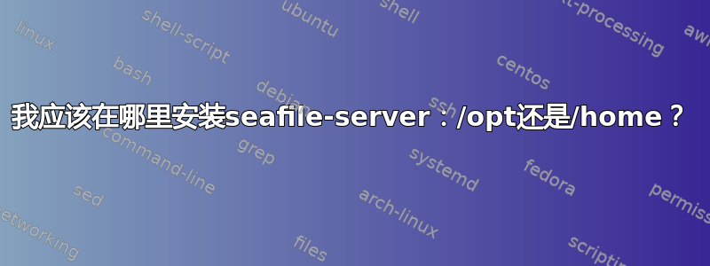 我应该在哪里安装seafile-server：/opt还是/home？