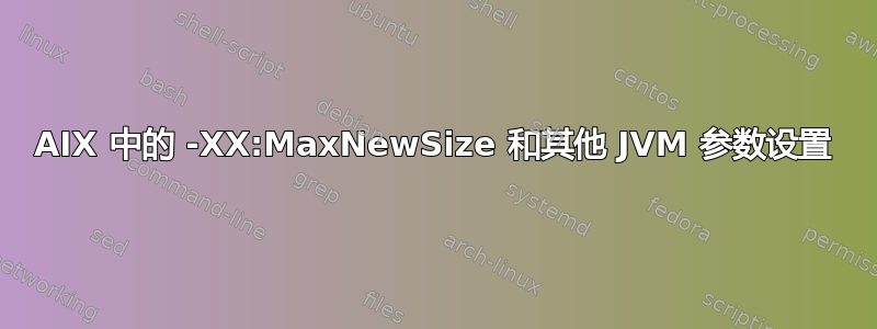 AIX 中的 -XX:MaxNewSize 和其他 JVM 参数设置