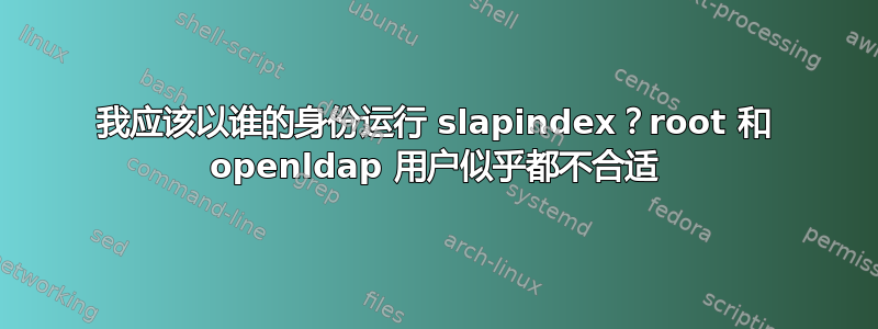 我应该以谁的身份运行 slapindex？root 和 openldap 用户似乎都不合适