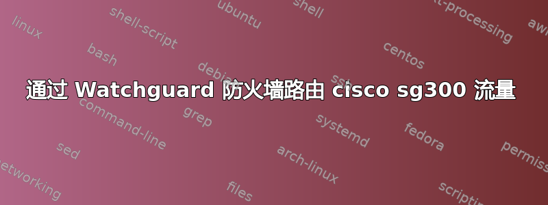 通过 Watchguard 防火墙路由 cisco sg300 流量