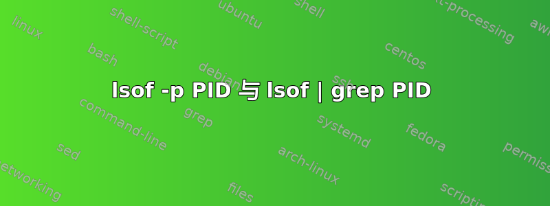 lsof -p PID 与 lsof | grep PID