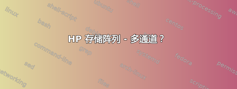 HP 存储阵列 - 多通道？