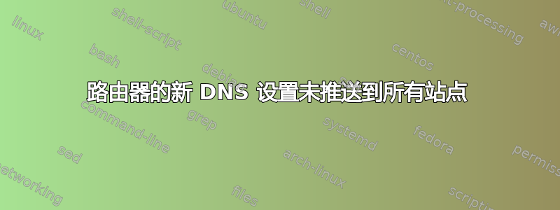 路由器的新 DNS 设置未推送到所有站点