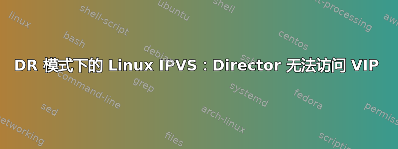 DR 模式下的 Linux IPVS：Director 无法访问 VIP