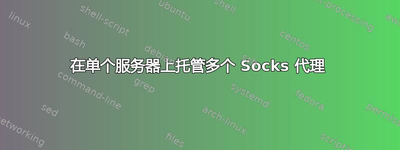 在单个服务器上托管多个 Socks 代理