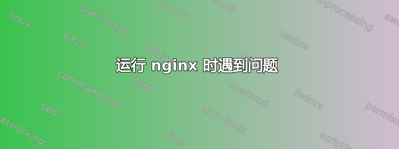 运行 nginx 时遇到问题