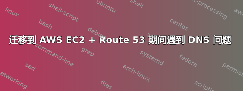 迁移到 AWS EC2 + Route 53 期间遇到 DNS 问题