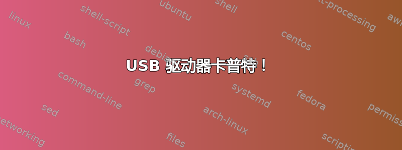 USB 驱动器卡普特！