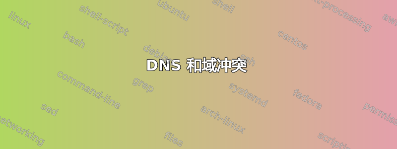 DNS 和域冲突