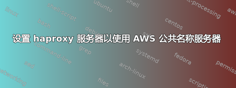 设置 haproxy 服务器以使用 AWS 公共名称服务器