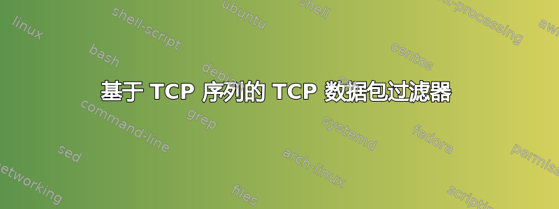 基于 TCP 序列的 TCP 数据包过滤器