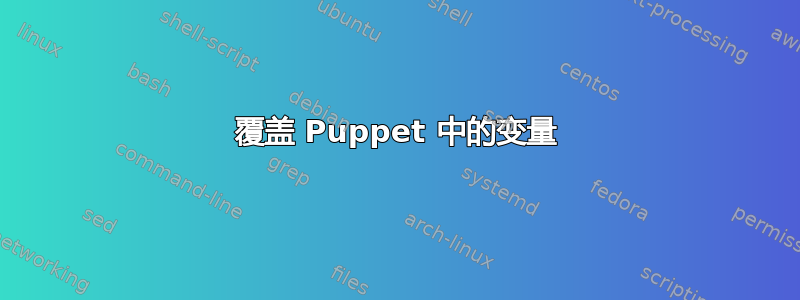 覆盖 Puppet 中的变量