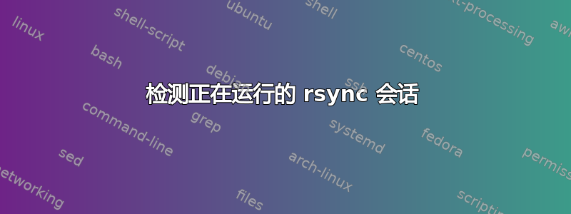 检测正在运行的 rsync 会话