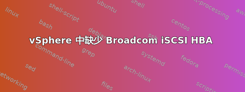 vSphere 中缺少 Broadcom iSCSI HBA