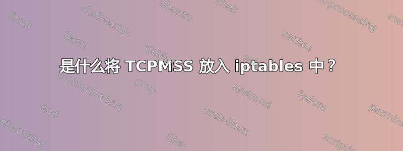 是什么将 TCPMSS 放入 iptables 中？