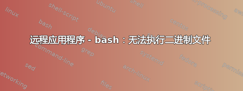 远程应用程序 - bash：无法执行二进制文件