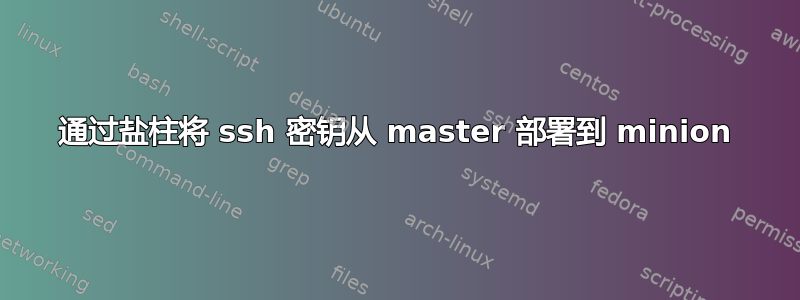 通过盐柱将 ssh 密钥从 master 部署到 minion