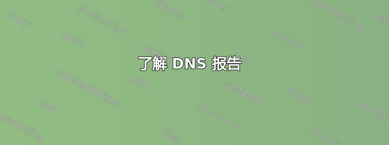 了解 DNS 报告 