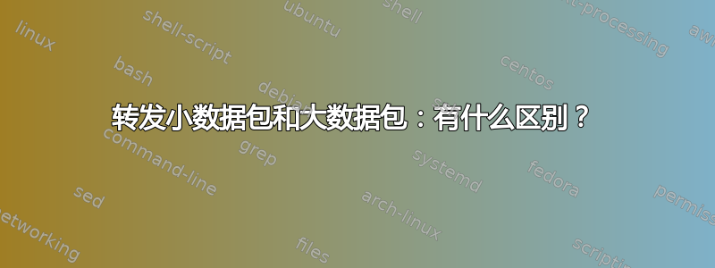 转发小数据包和大数据包：有什么区别？