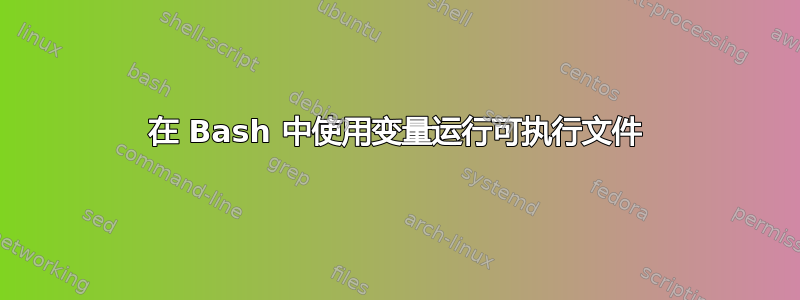 在 Bash 中使用变量运行可执行文件